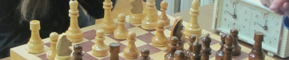 шахматный турнир (13)