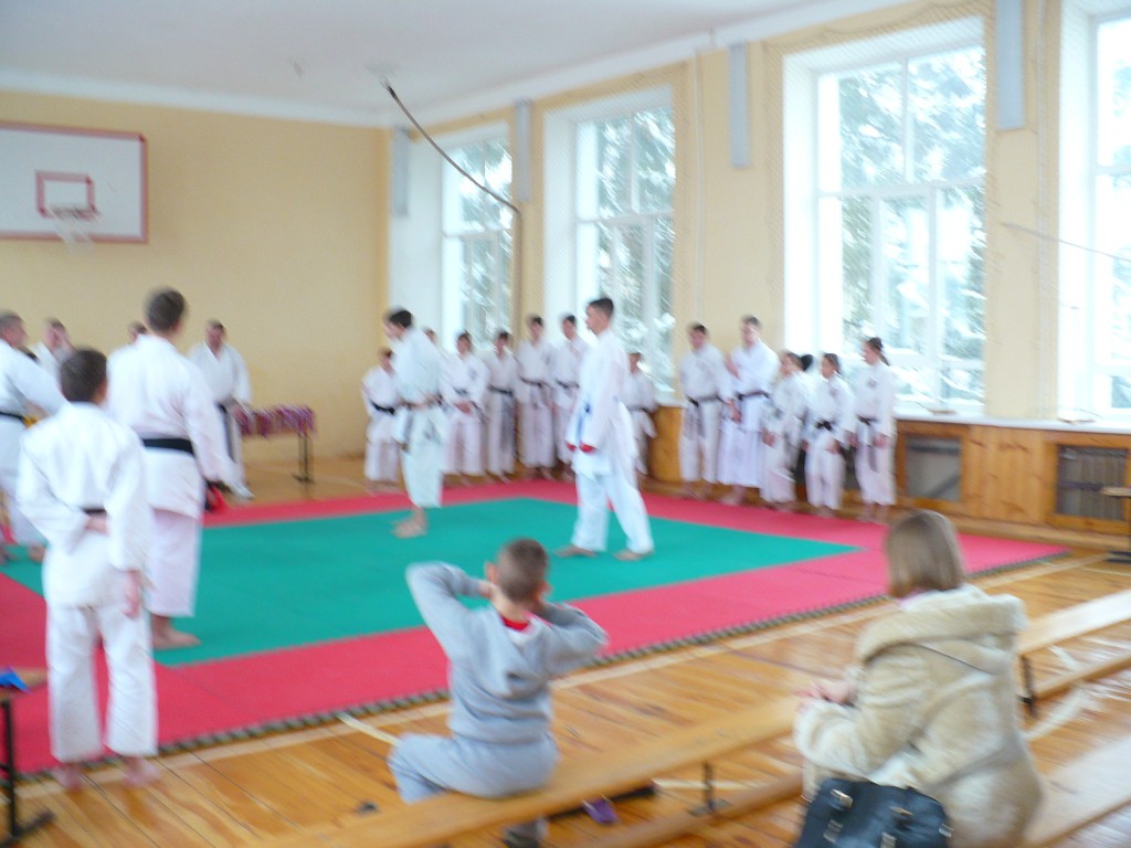 соревнования_каратэ (2)