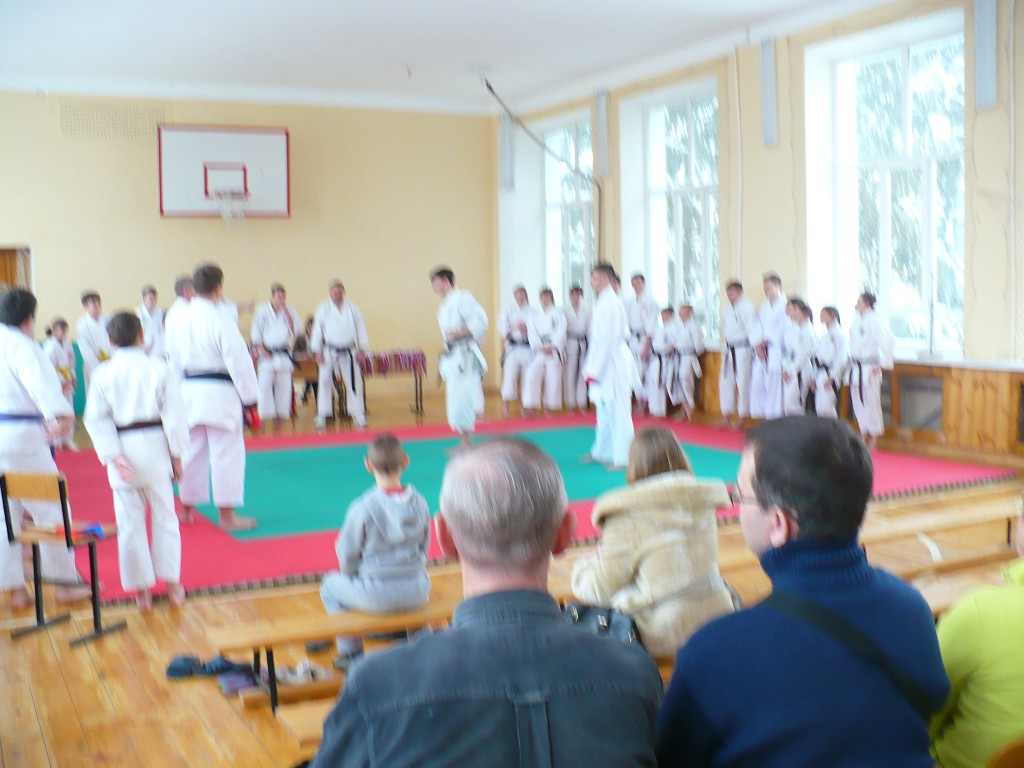 соревнования_каратэ (3)