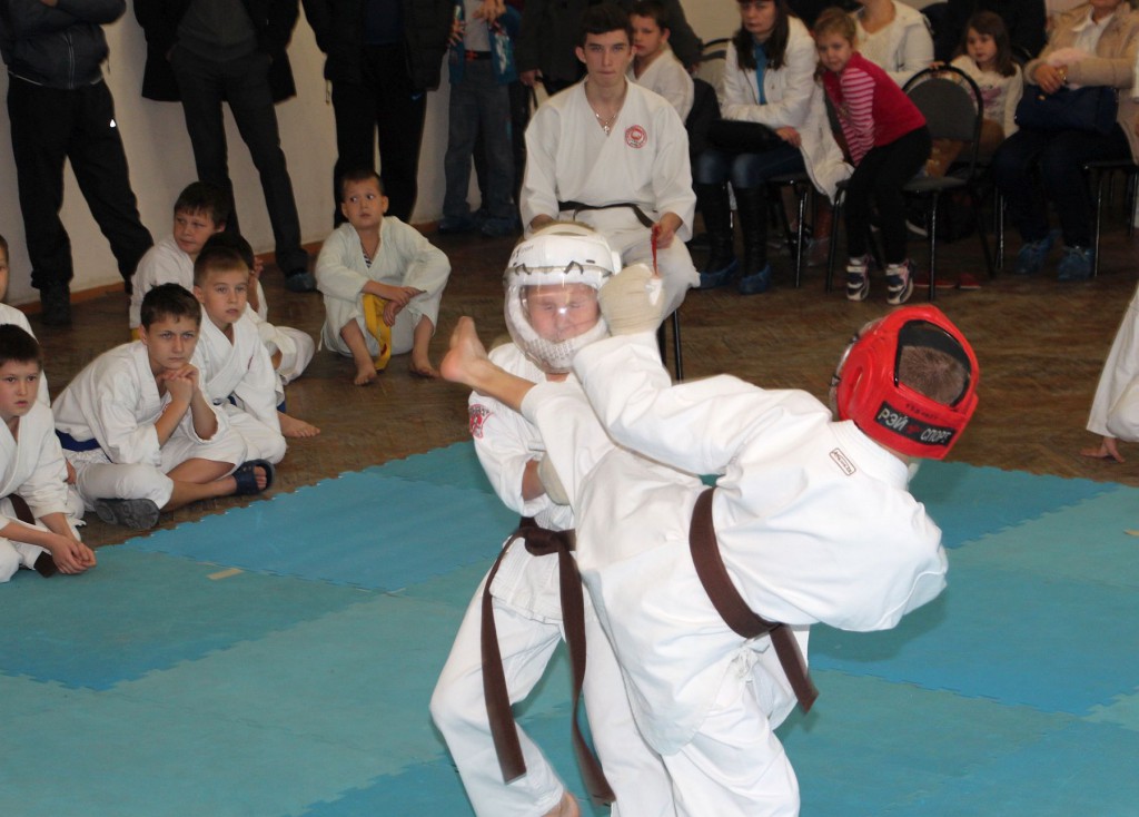 7-karate (17)