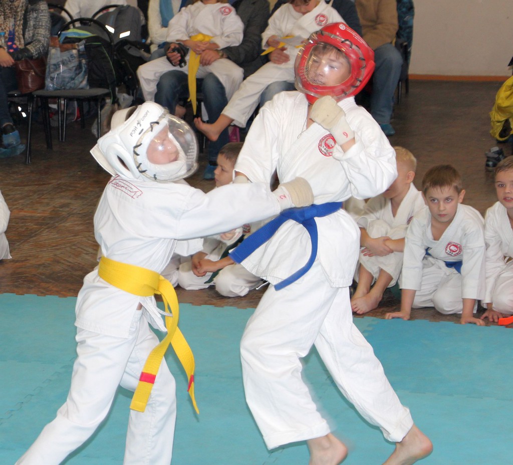 7-karate (19)