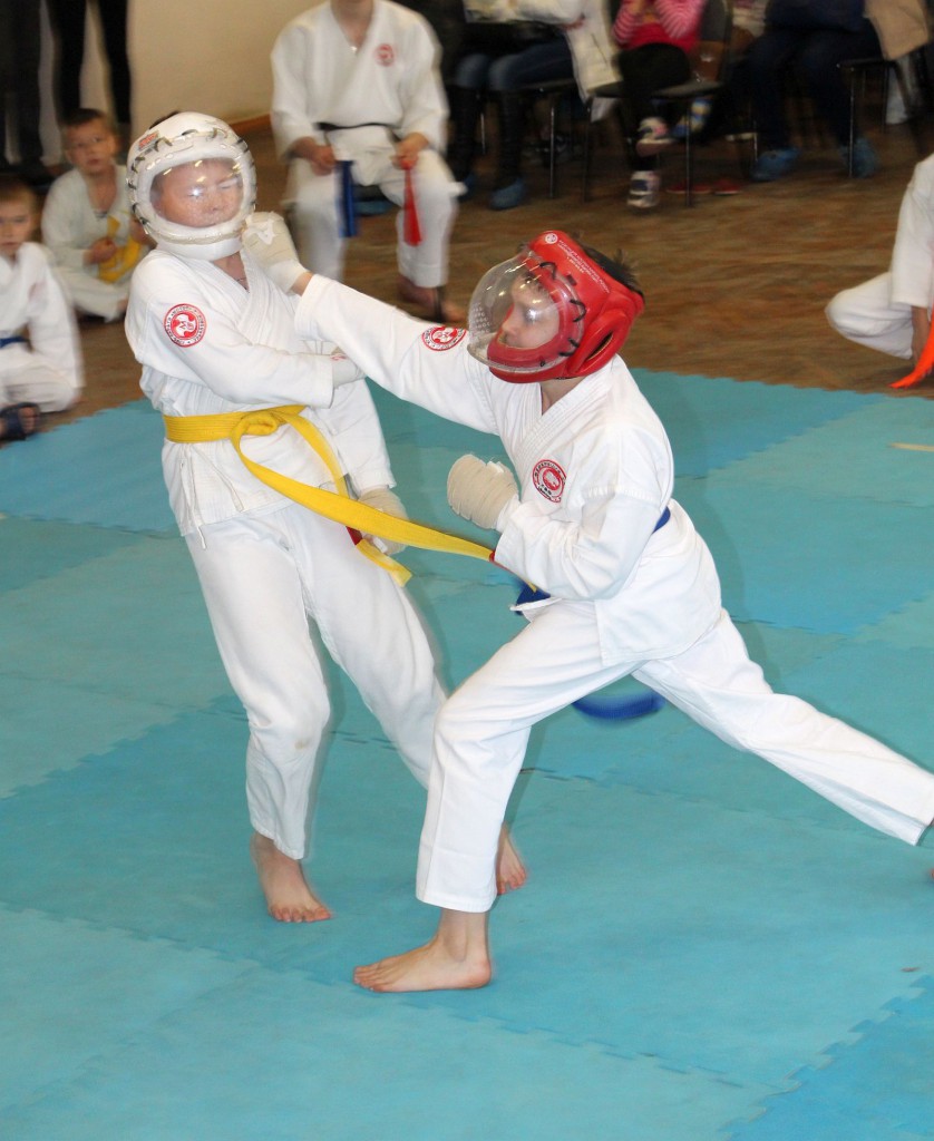 7-karate (20)