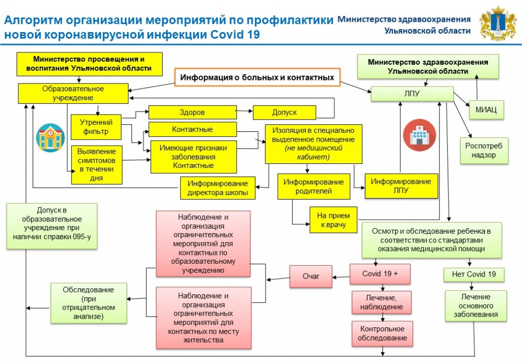 3. Алгоритм организации мероприятий по профилактики новой коронавирусной инфекции Covid 19